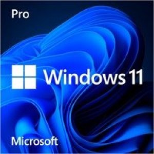 Microsoft Windows 11 Pro / 64Bit